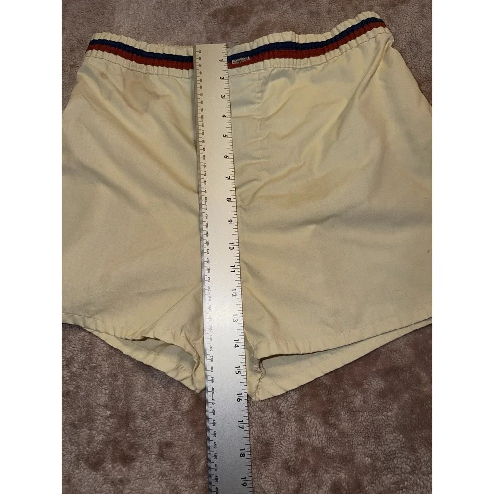Vintage 60's 70's Distressed Swim Trunks